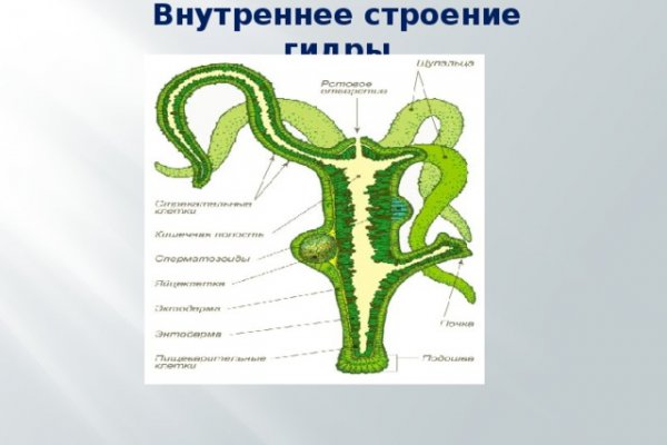 Рабочий кракен